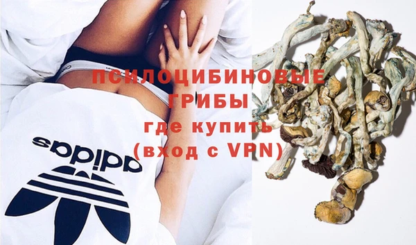 эйфоретик Арсеньев