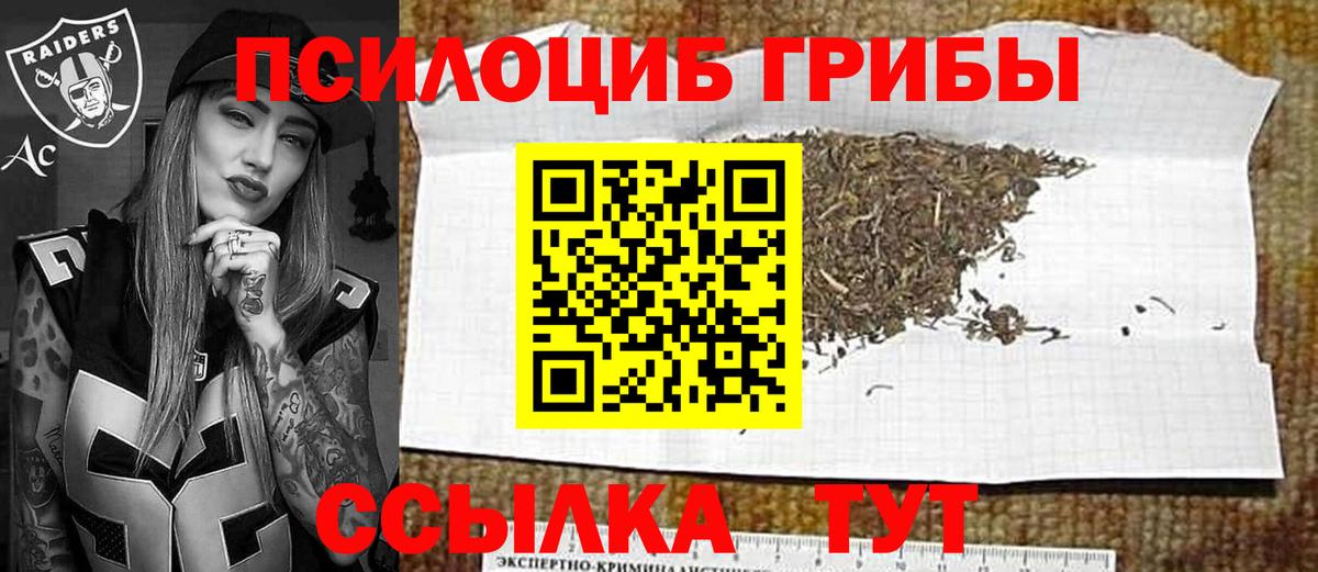 Псилоцибиновые грибы Psilocybine cubensis  Псилоцибиновые грибы мицелий  Вход с VPN  Саки 