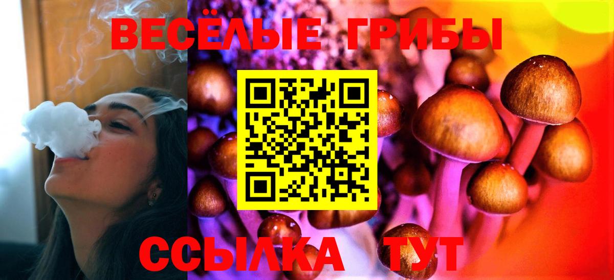 Псилоцибиновые грибы MAGIC MUSHROOMS Саки